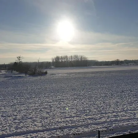 Envol Des Cigognes Centre Alsace Proche Europapark Rulantica Et Marchés De Noel Appartamento Osthouse