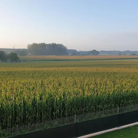 Envol Des Cigognes Centre Alsace Proche Europapark Rulantica Et Marchés De Noel *